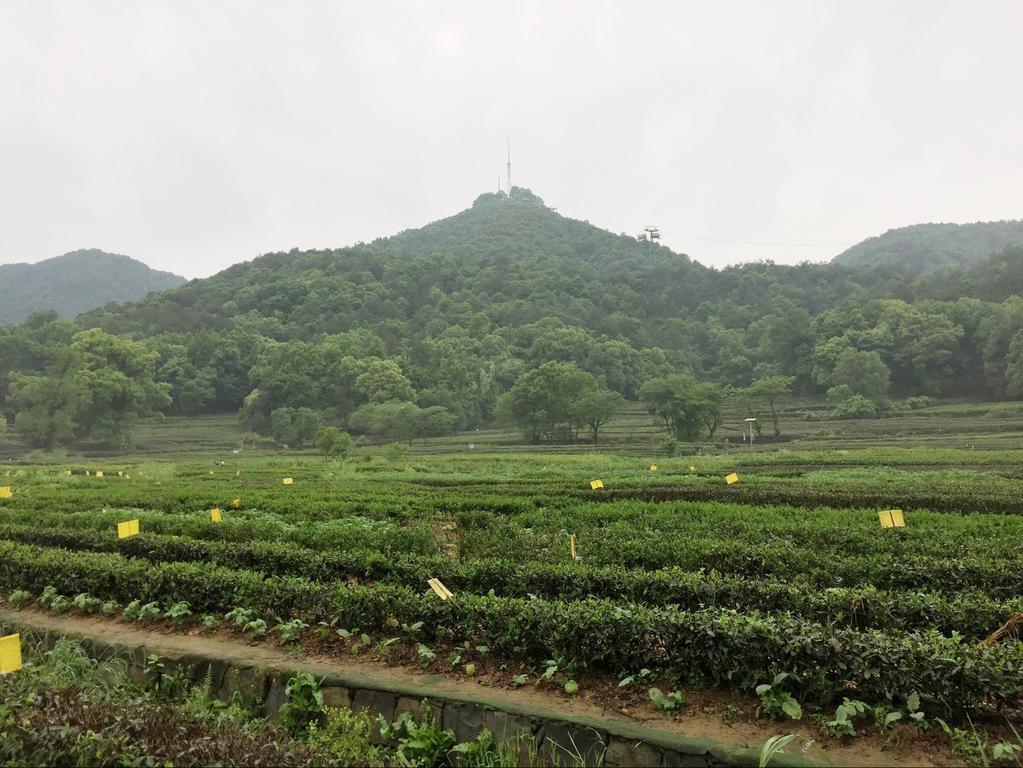 Two Towns Hostel Hangzhou Zewnętrze zdjęcie